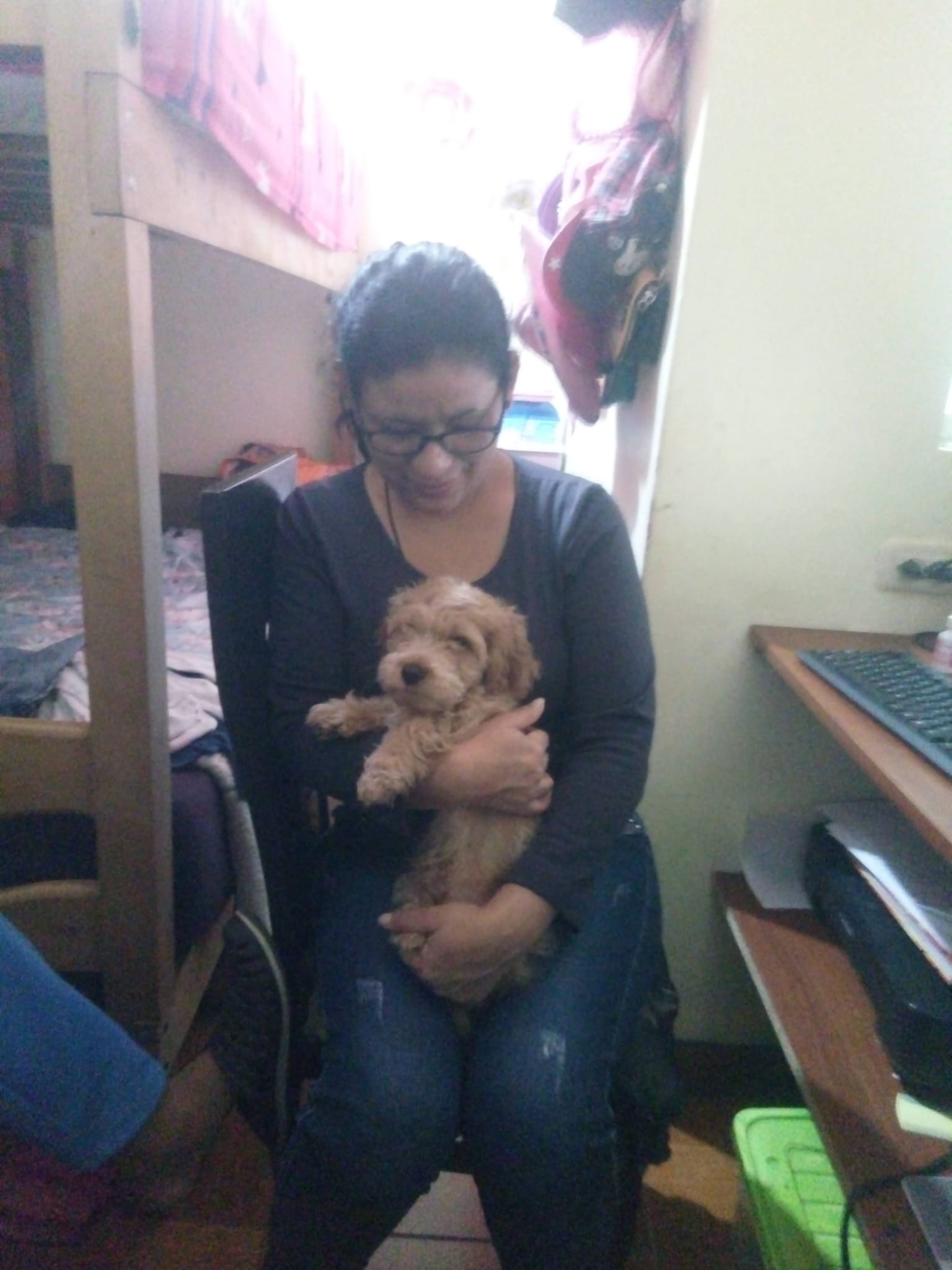 Imagen 22